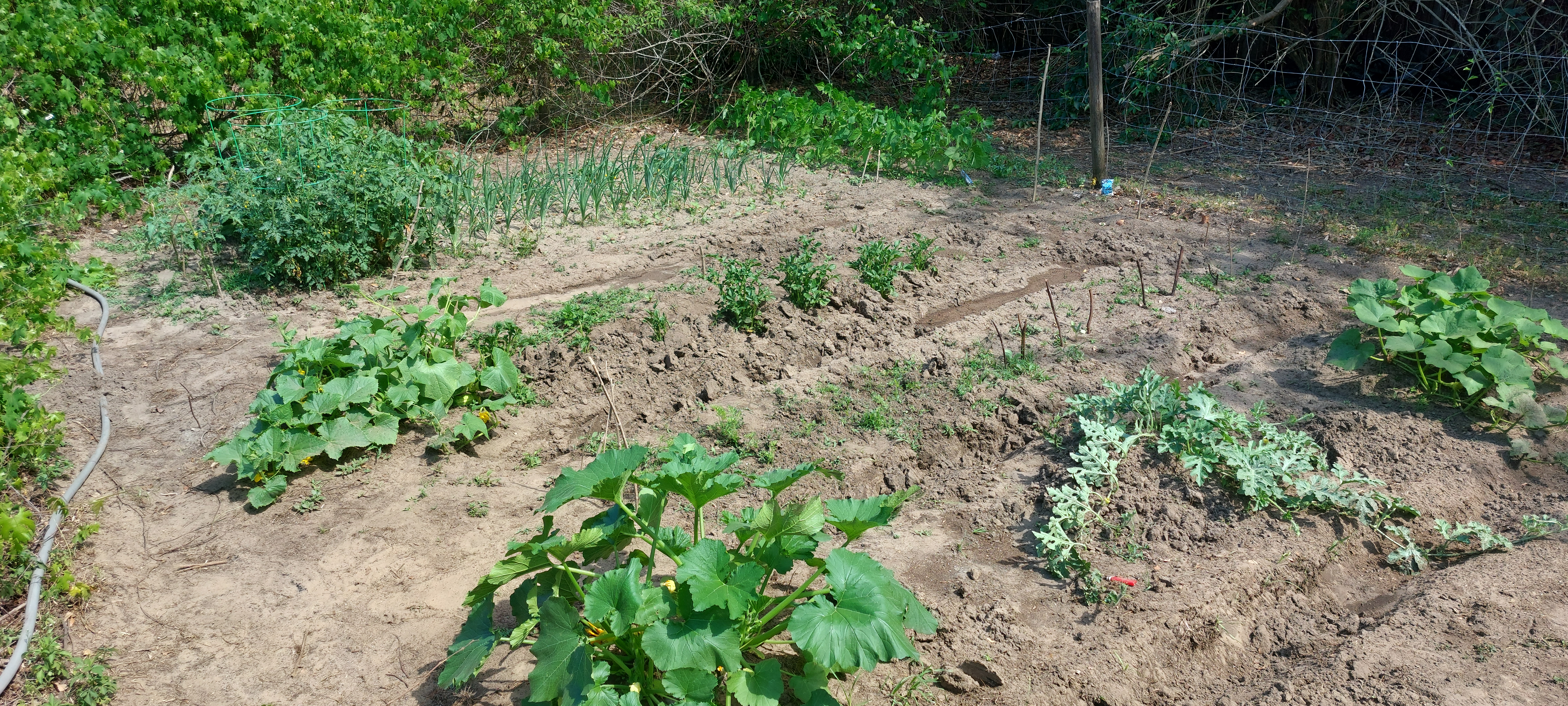 2024Garden